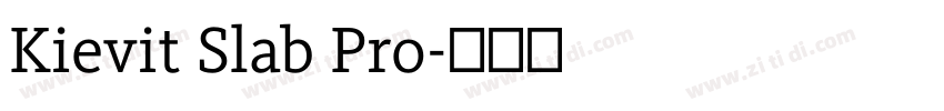 Kievit Slab Pro字体转换 Kievit Slab Pro字体转换